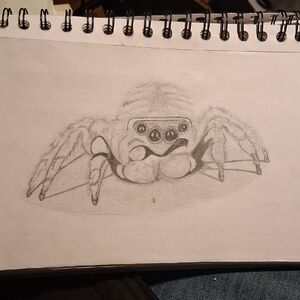 Gray Spider Sketch Art